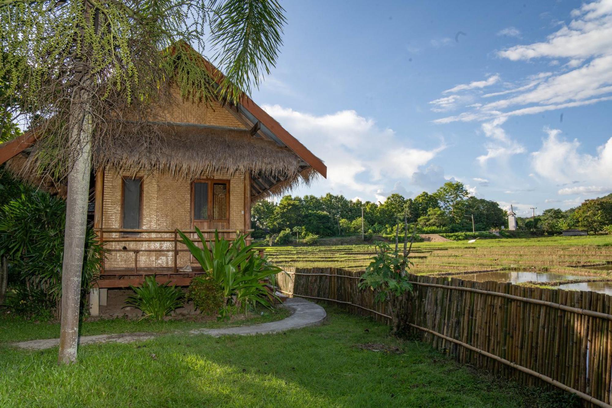 Butterfly Hostel, Pai Exteriör bild
